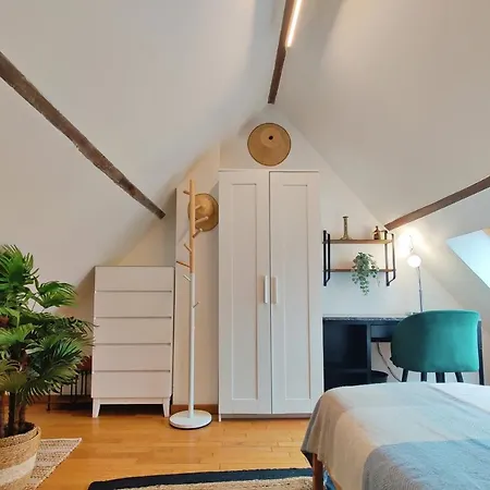 Art & Curiosity Cabinet Style With Paris View, Des Ammonites Lejlighed Meudon